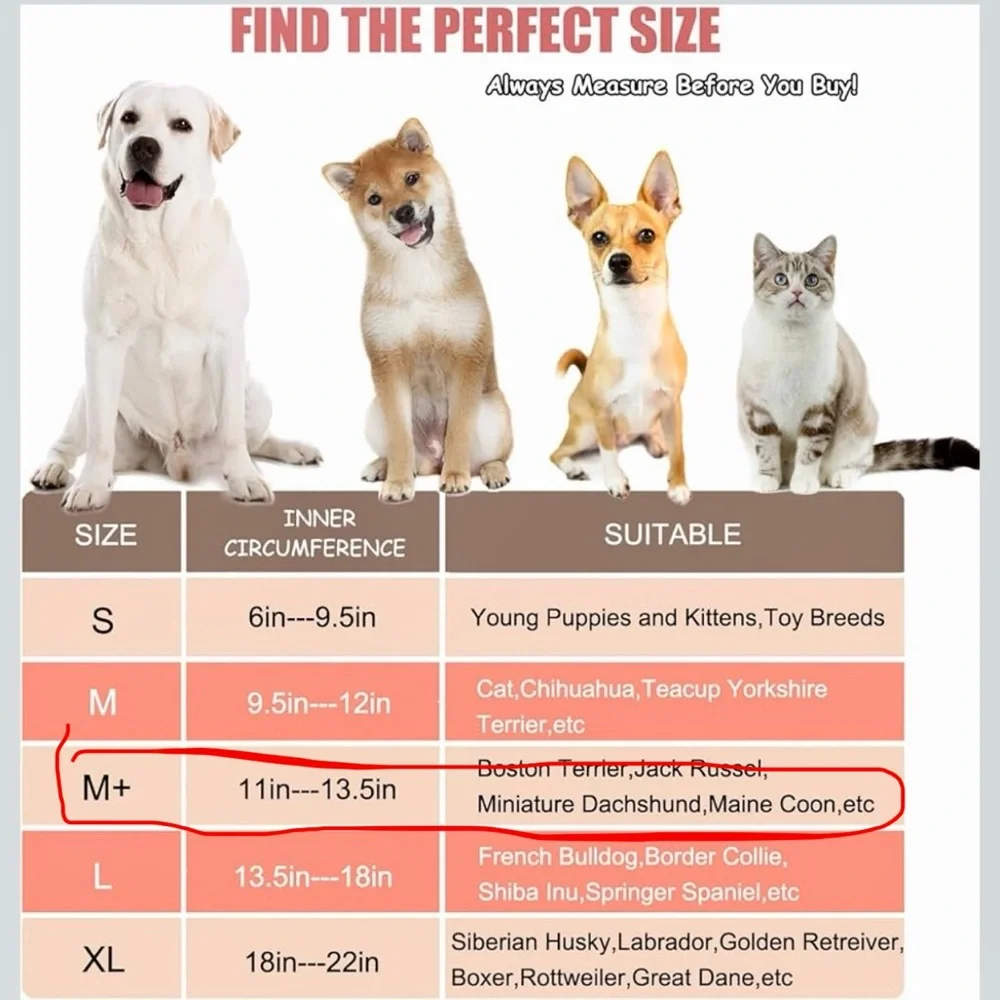 NWOT Woot Inflatable Waterproof Dog Cone Collar Donut for Recovery